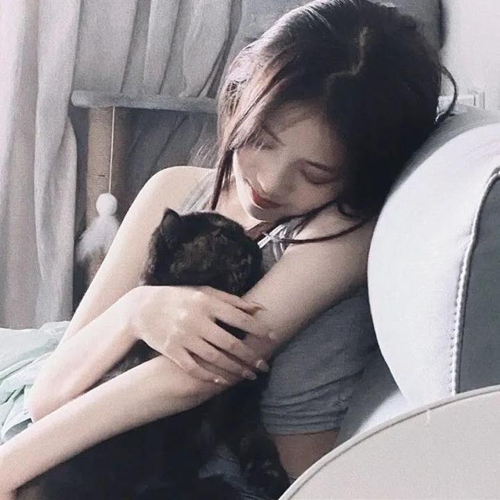 四海鲸骑第二季