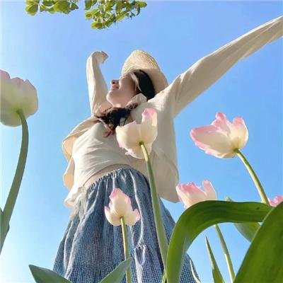 鸣鸟不飞：乌云密布